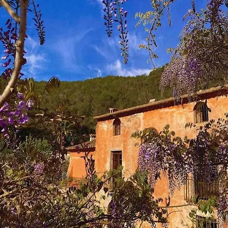 Catalina Aka Almanita Sant Pere De Ribes